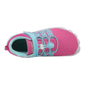 SAGUARO - VIGOR II 2