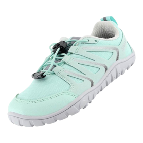 SAGUARO - FORESTEP I