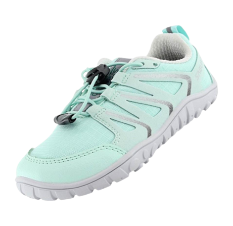 SAGUARO - FORESTEP I