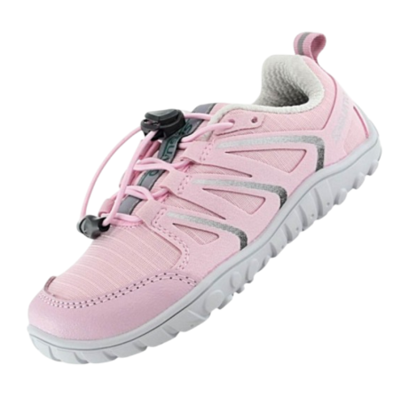 SAGUARO - FORESTEP I