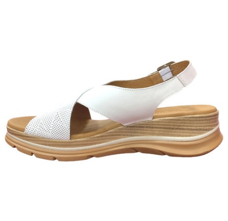 PAULA URBAN - 24-578