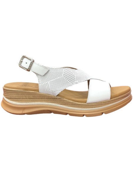 PAULA URBAN - 24-578