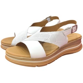 PAULA URBAN - 24-578