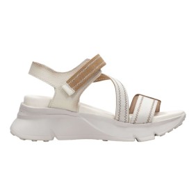 HISPANITAS - CHV243459