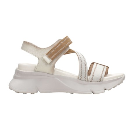 HISPANITAS - CHV243459