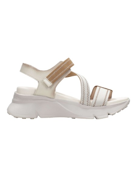 HISPANITAS - CHV243459