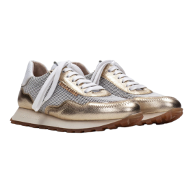 HISPANITAS - HV243231 2