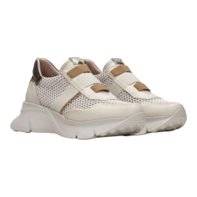 HISPANITAS - HV243314 2