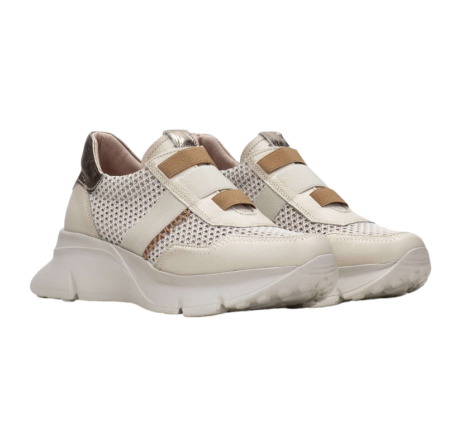 HISPANITAS - HV243314