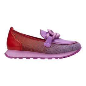 HISPANITAS - BHV243270 2