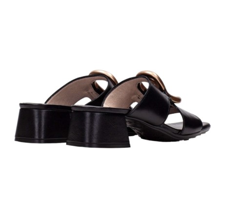 HISPANITAS - HV254074