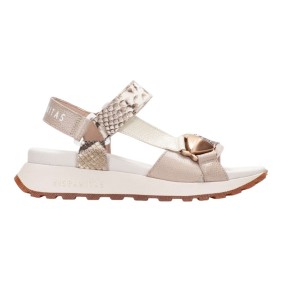 HISPANITAS - CHV253896