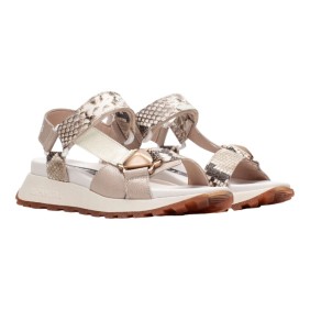 HISPANITAS - CHV253896 2