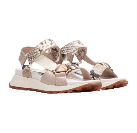 HISPANITAS - CHV253896