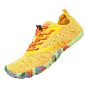 SAGUARO - SMART II 2