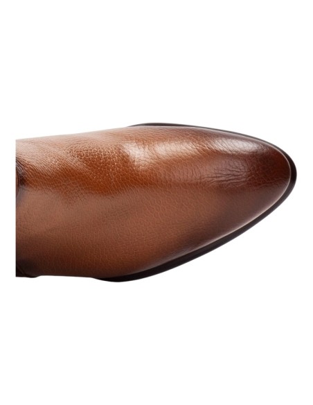 HISPANITAS - PHI254383